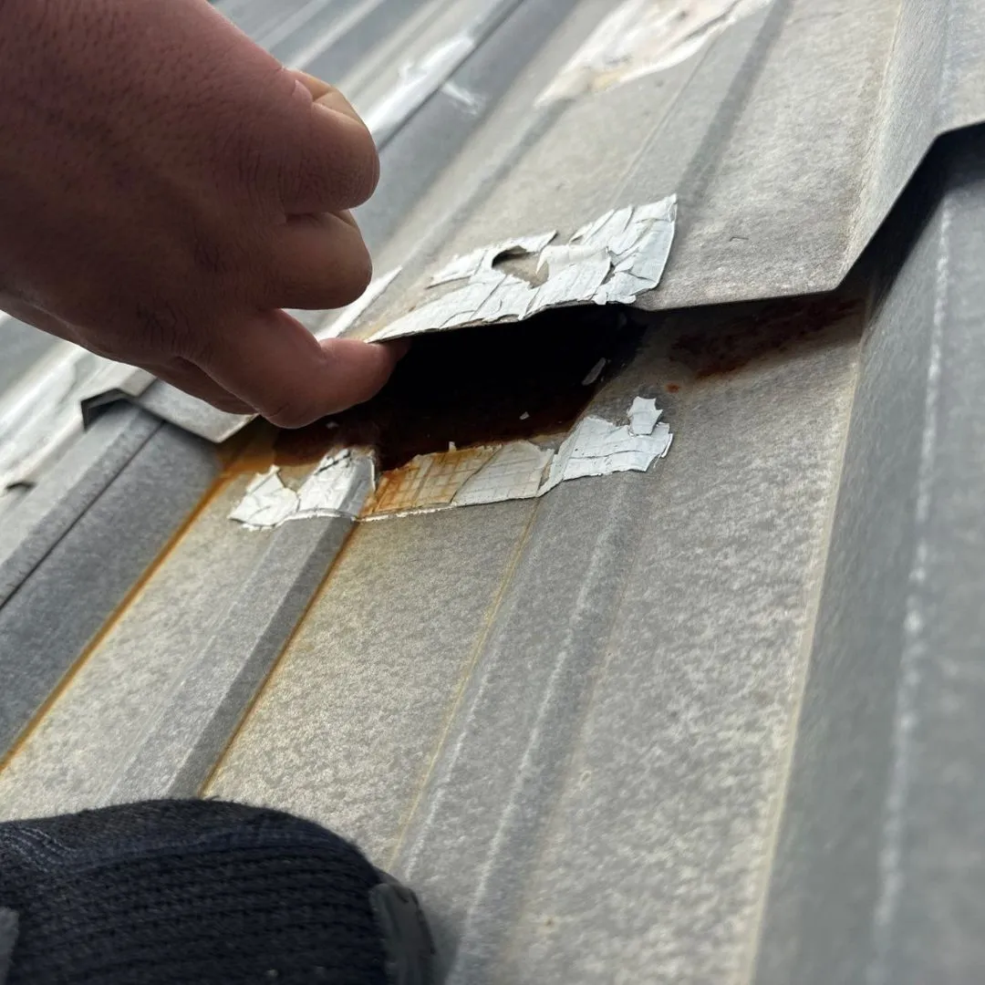 Technician inspecting a damaged seam during a commercial roof repair project by Achilles Roofing & Exterior