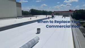 Contractors applying white membrane roofing during a large-scale commercial roof replacement project.
