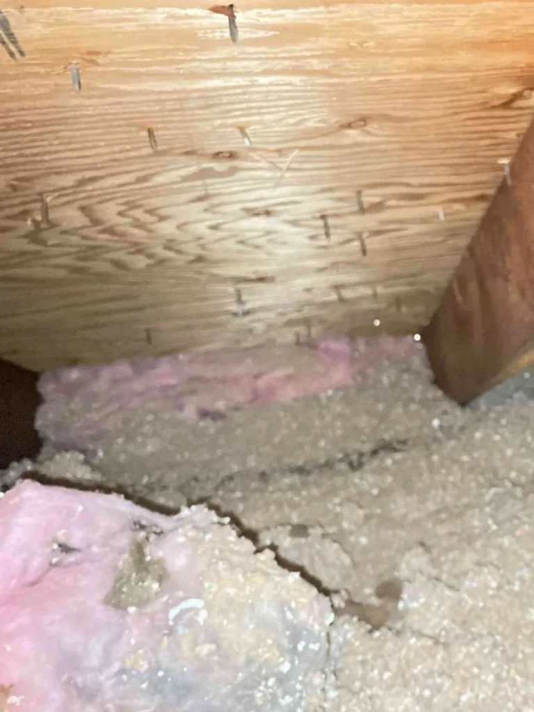 This image shows a house overhang with a soffit that is heavily dusty