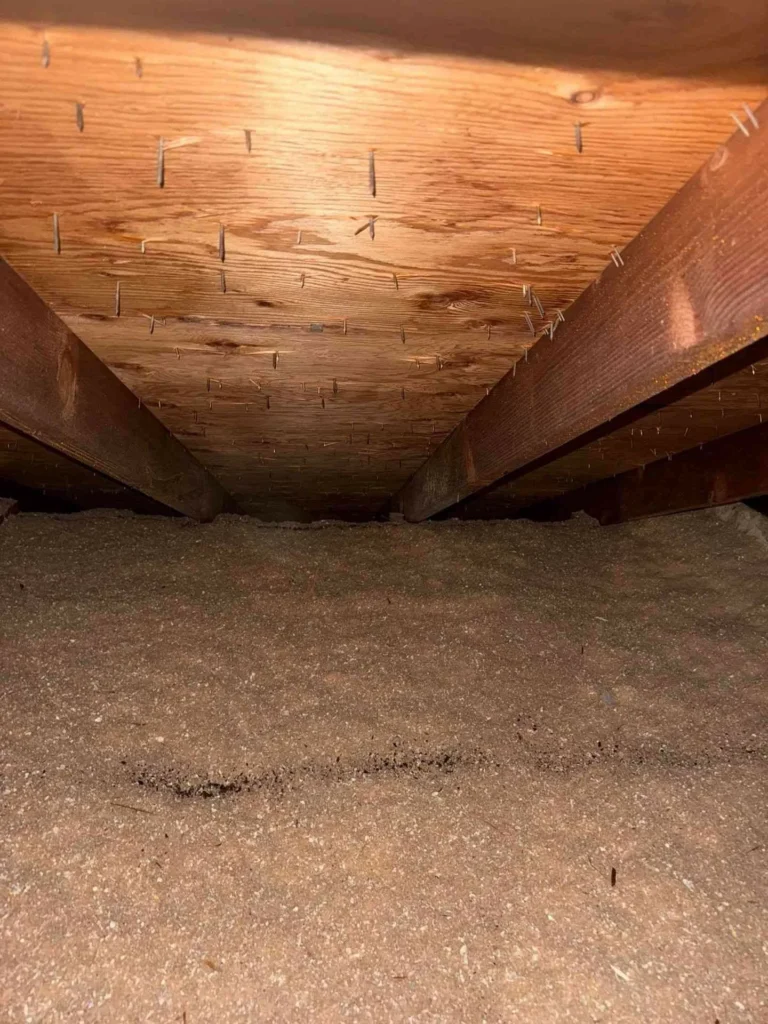 This image shows a cleaned soffit beneath repaired rafters on a home in Webster, TX — soffit surfaces look fresh and free of dust, debris, or damage.