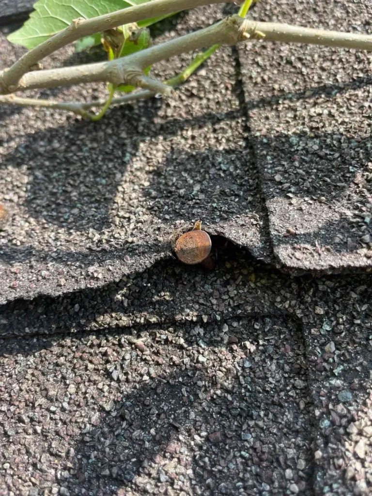 This image shows a close-up of nails that were improperly installed on roof shingles — nails are exposed, indicating potential points of water intrusion that triggered the repair work.