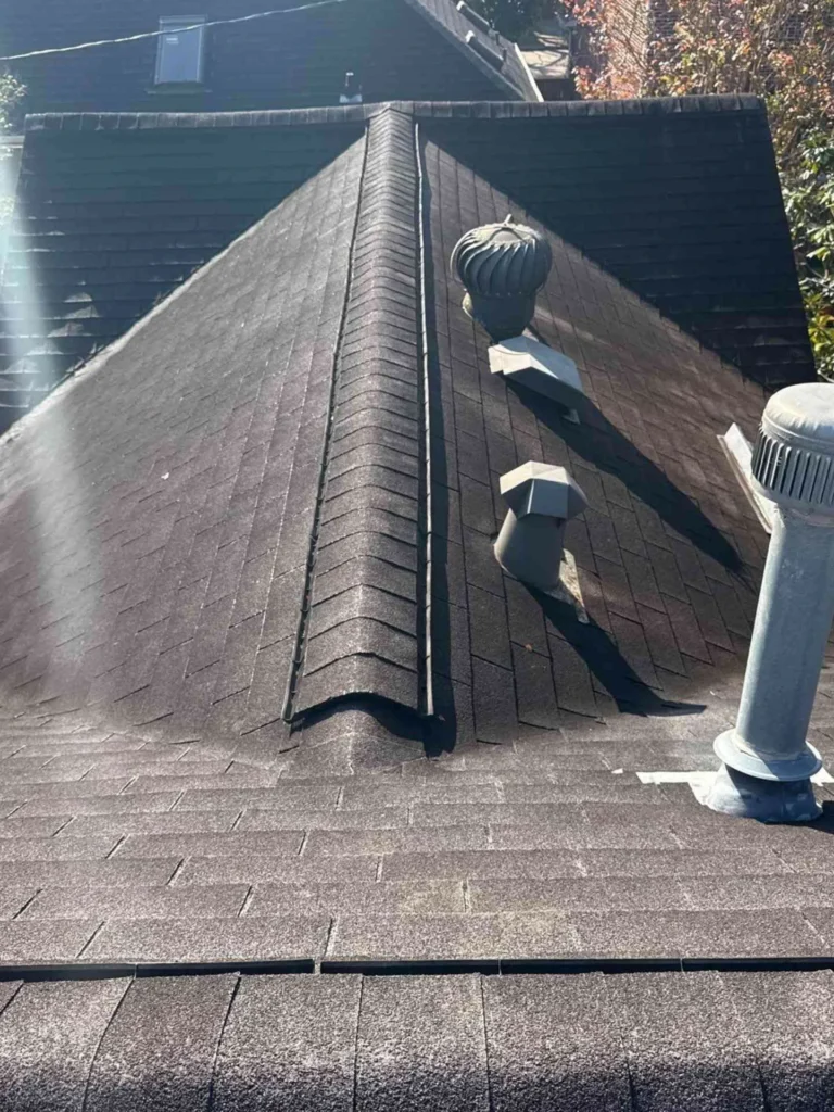 In this image, old roof shingles appear faded and cracked, with roof vents showing signs of wear — the house is clearly due for a full replacement and restoration.